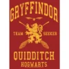 Women's Harry Potter Gryffindor Quidditch Gold Team Seeker T-Shirt