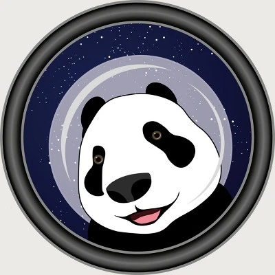 Junior's Design By Humans Cosmopanda By Alpri T-Shirt